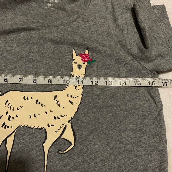 J. Crew Mercantile Llama Collector Tee Size XS, 3X - Picture 8 of 11